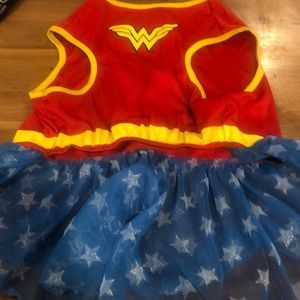 Wonderwomen dog costume